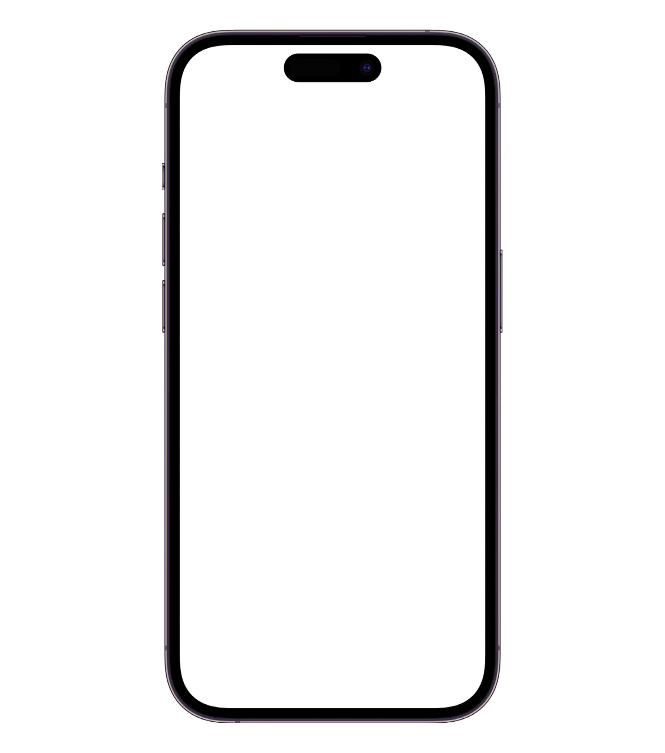 iPhone 14 Pro Frame